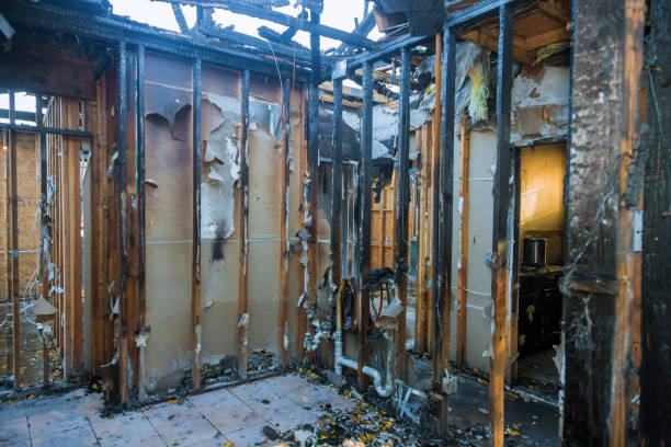 Professional Smoke Odor Removal technician working in Bradenton Beach, FL